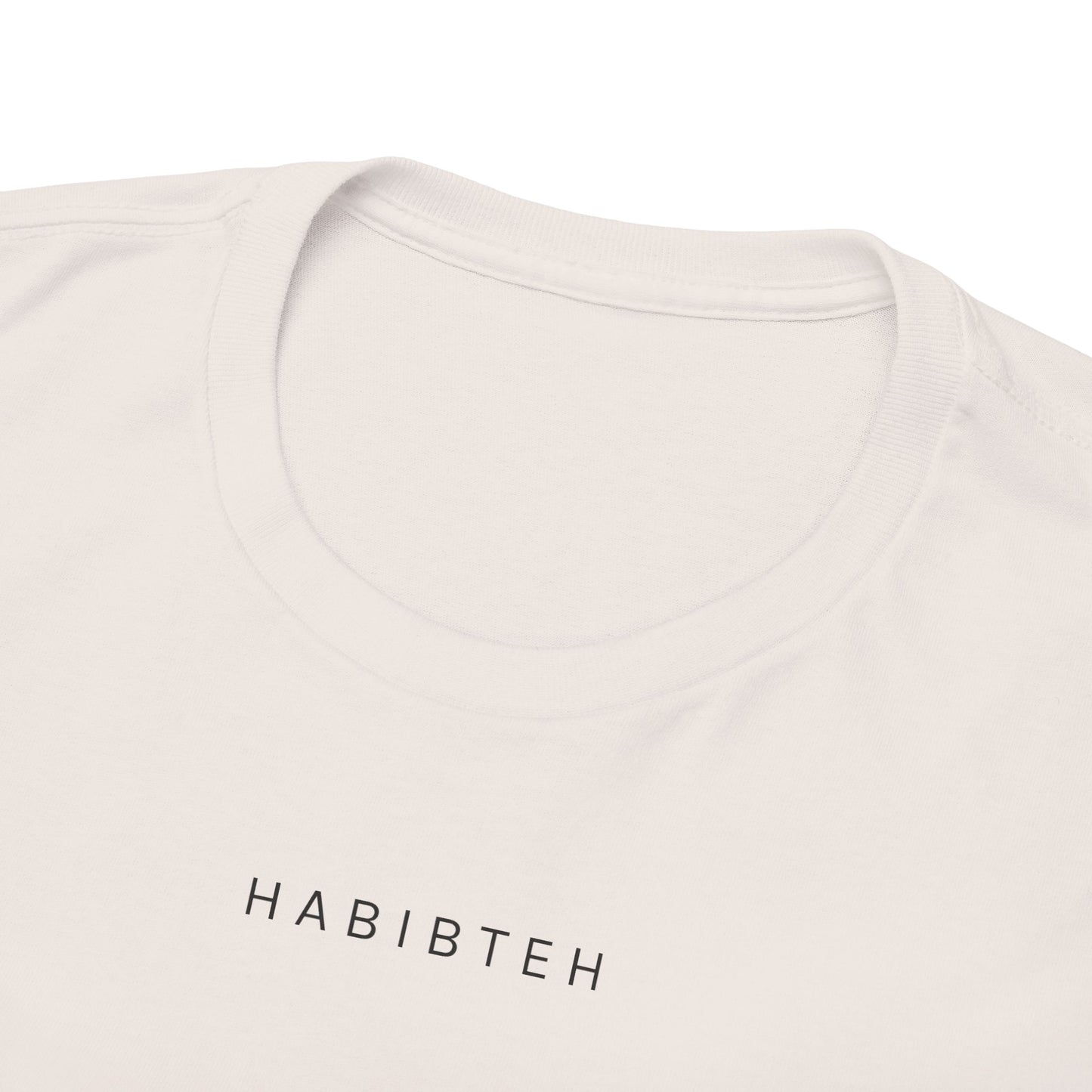 Unisex Heavy Cotton Tee HABIBTEH